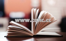 道士在1.76精品传奇中连击技能的顺序组合与实战应用