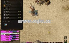 忘忧传奇私服发布网攻略：1.76金币传奇法师自动打开盾牌解析