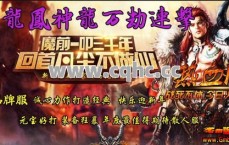 道士职业在传奇私服发布网黑金中探索放风筝PK的艺术