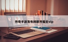 传奇手游发布网新开服无vip