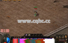 网通传奇外传私服加封魔殿中的精英怪，难道不是无敌组合？