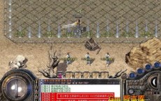 1.76精品传奇私服发布网，装备价格差异大，玩家体验因人而异
