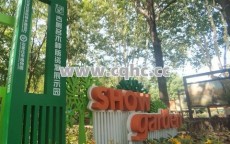 新开网通传奇，玩家如何轻松获得勋章组合？