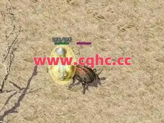 热血传奇中进入未知暗殿是有时间限制的