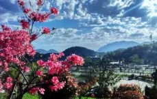 原始传奇隐藏地图