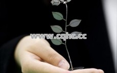 电信传奇私服中变加坐骑，难道不是制胜关键？