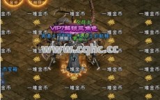 快餐传奇私服发布网揭秘：混乱深渊战斗攻略，堆属性组合成顶级战士