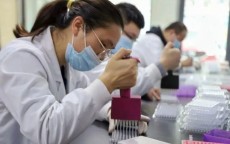 合击传奇私服发布网助力单职业传奇玩家升级之路，格组合大放送