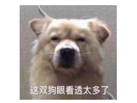 一周神评论：原神再次提名TGA，网友表示无法反驳，米哈游公司名却被官方打错
