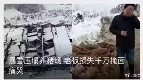 一周神评论：原神再次提名TGA，网友表示无法反驳，米哈游公司名却被官方打错