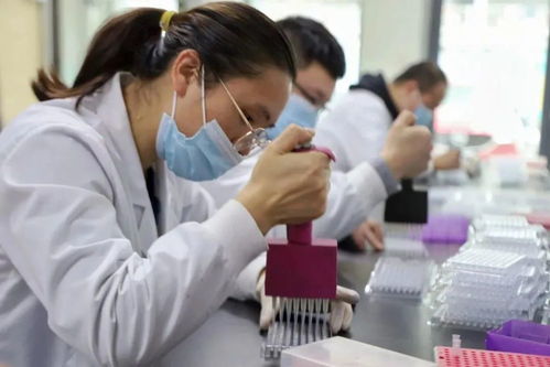 合击传奇私服发布网助力单职业传奇玩家升级之路，格组合大放送