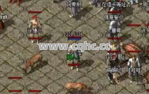 热血传奇私服职业搭配攻略：技能组合与应用