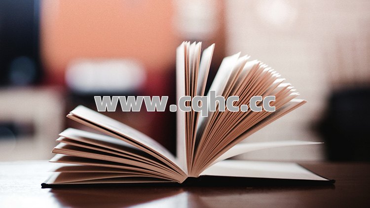道士在1.76精品传奇中连击技能的顺序组合与实战应用