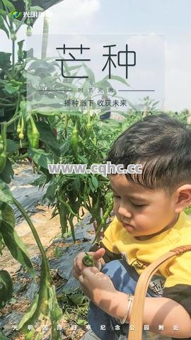 探寻北方传奇私服发布网与1.80英雄连击顶级装备的完美结合之谜