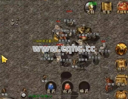 清怪攻略：传奇道士私服发布网助力刷祖玛boss，轻松闯关秘籍大揭秘