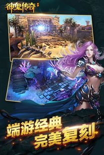 --- 专业标题 ---