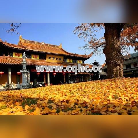 网通传奇网，法师如何合理运用魔法盾达到护身效果？