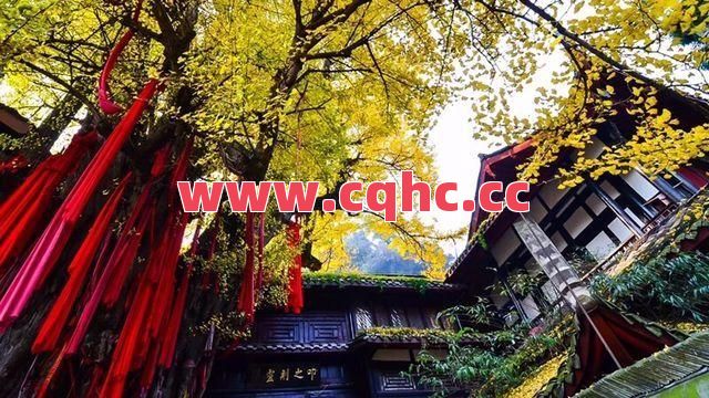 合击版传奇私服免客户端-三角色合击传奇手游