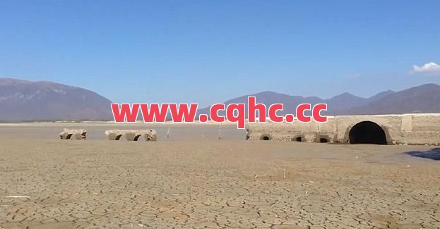 道士没有狗书真的不厉害