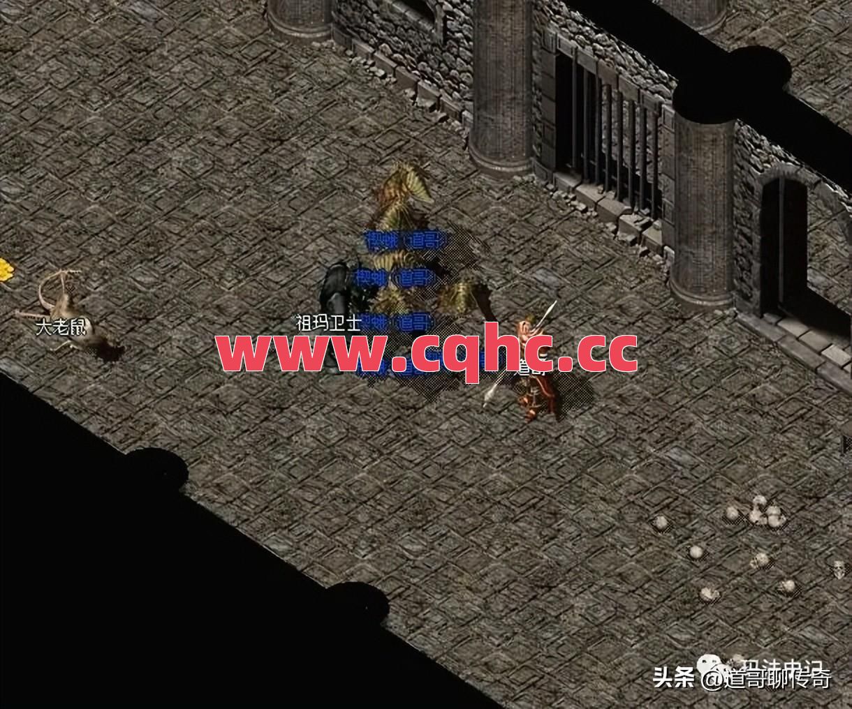 麻痹戒指应该搭配什么装备呢