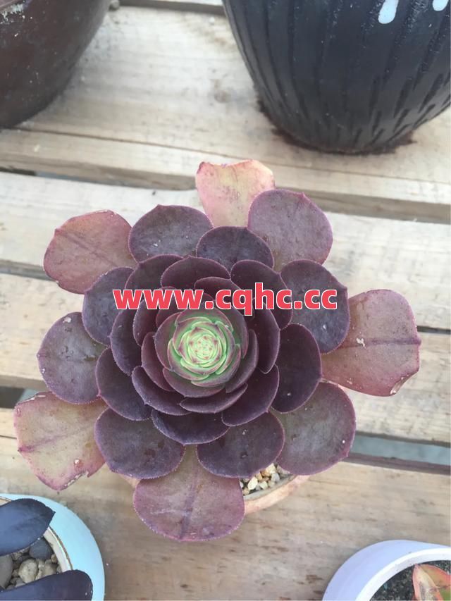 法师职业适不适合新手