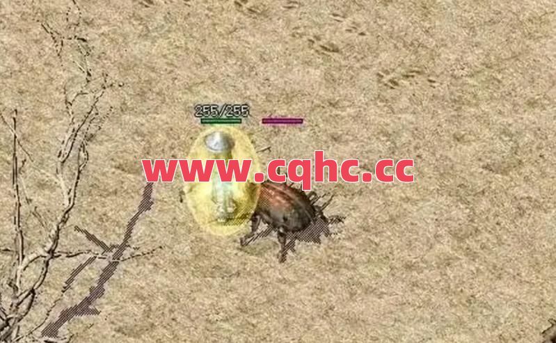 热血传奇中进入未知暗殿是有时间限制的